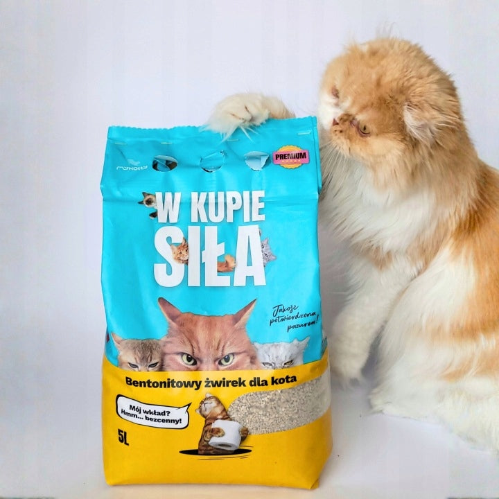 Bentonite cat litter 2x5L mykotty clumping dust-free fine Brand myKotty