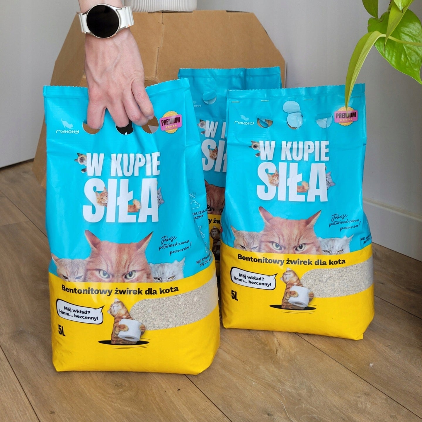 Bentonite cat litter 2x5L mykotty clumping dust-free fine Product weight 8.4 kg