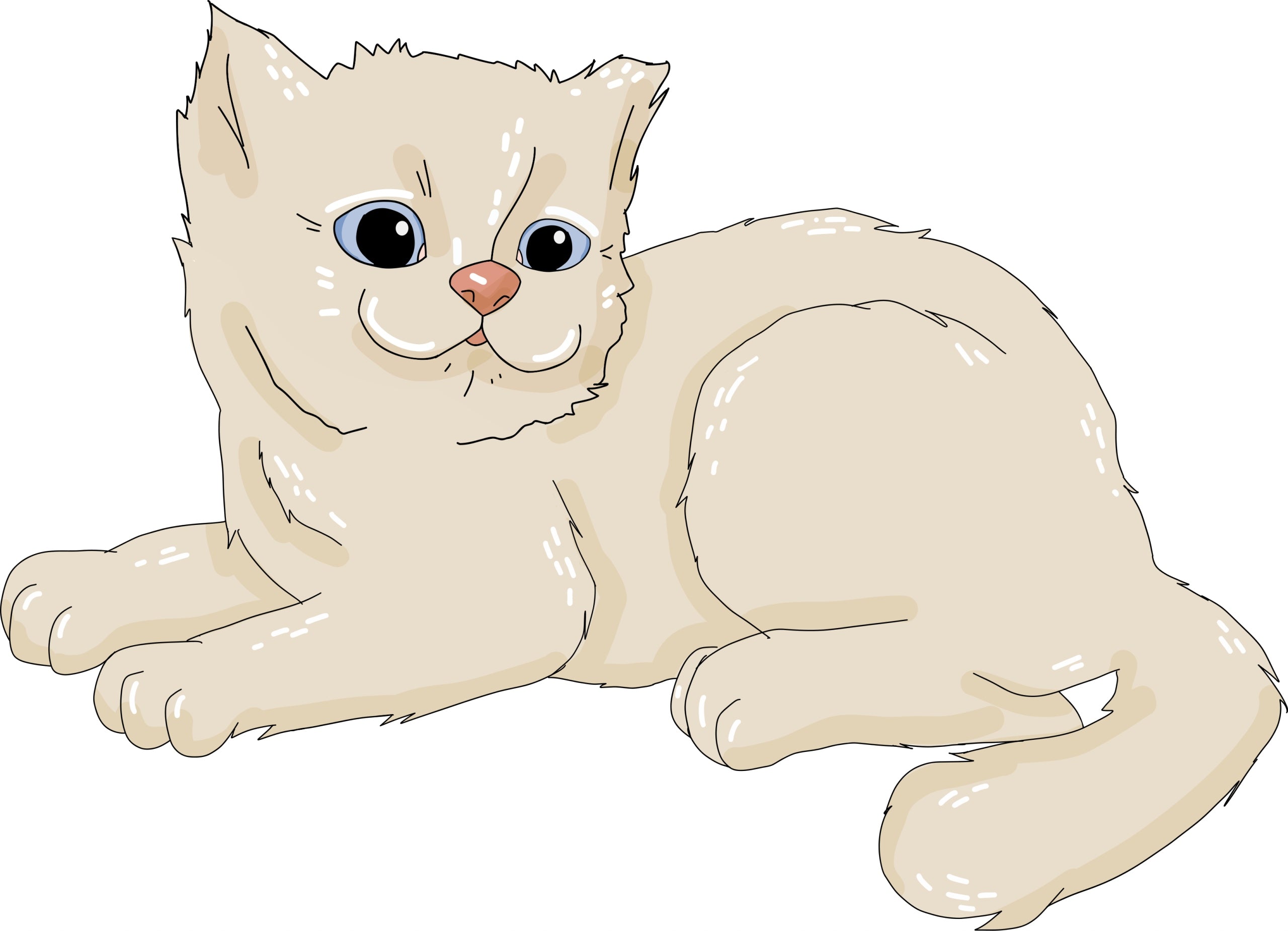 Bentonite cat litter 5l Miłek, clumping, dust-free, natural Kind bentonite
