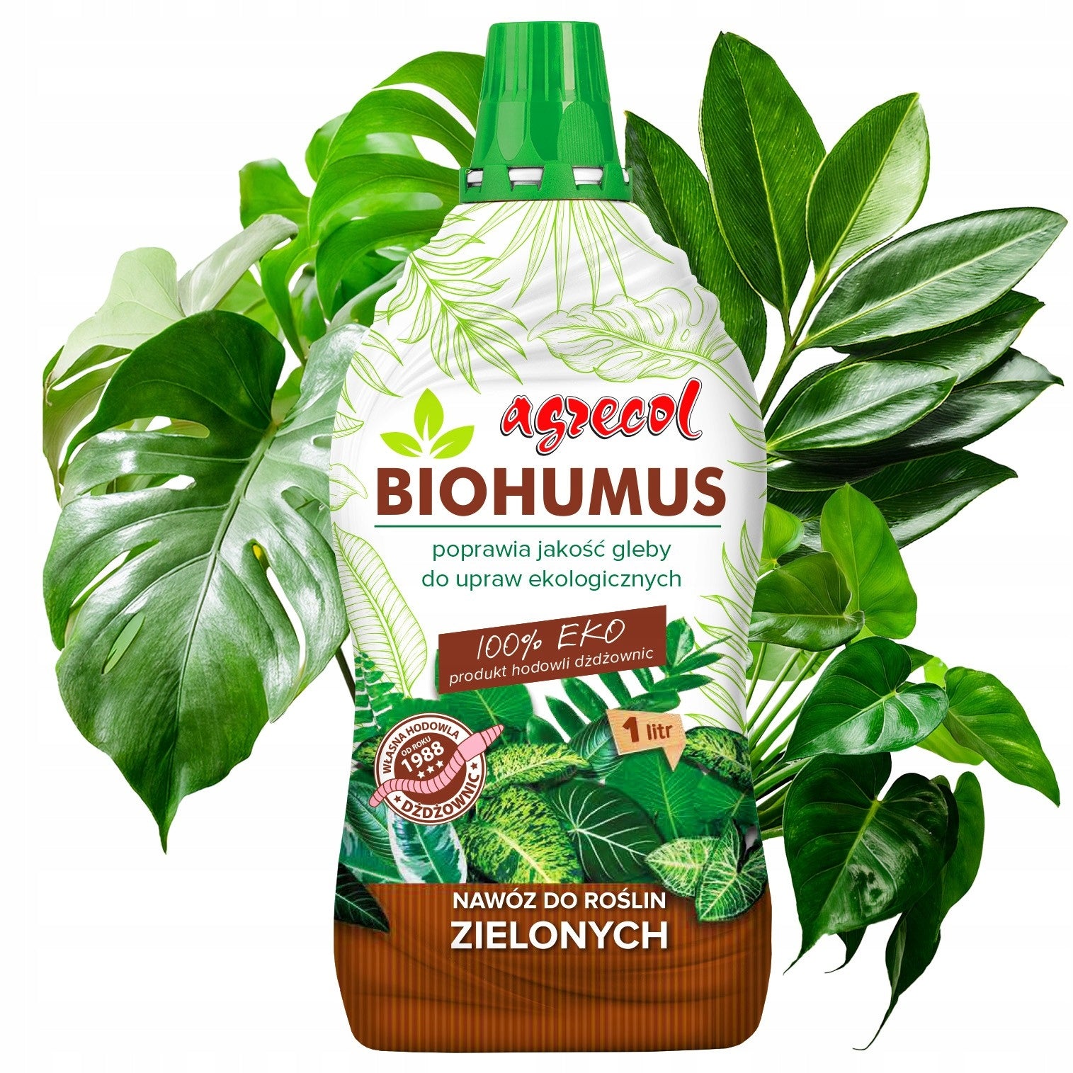 Biohumus fertilizer for green plants monster zamiokulkas and ficus 1L