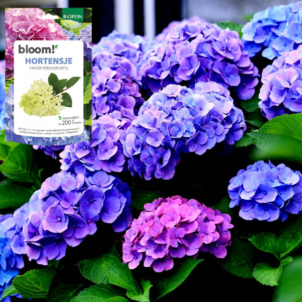 Biopon Bloom! Hydrangea Soluble Fertilizer 200g Concentrate Per 200l Water Manufacturer Bros