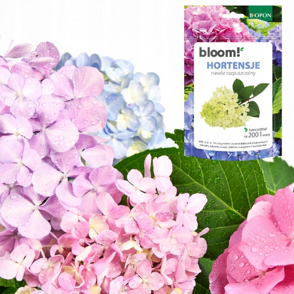 Biopon Bloom! Hydrangea Soluble Fertilizer 200g Concentrate Per 200l Water Packaging status original