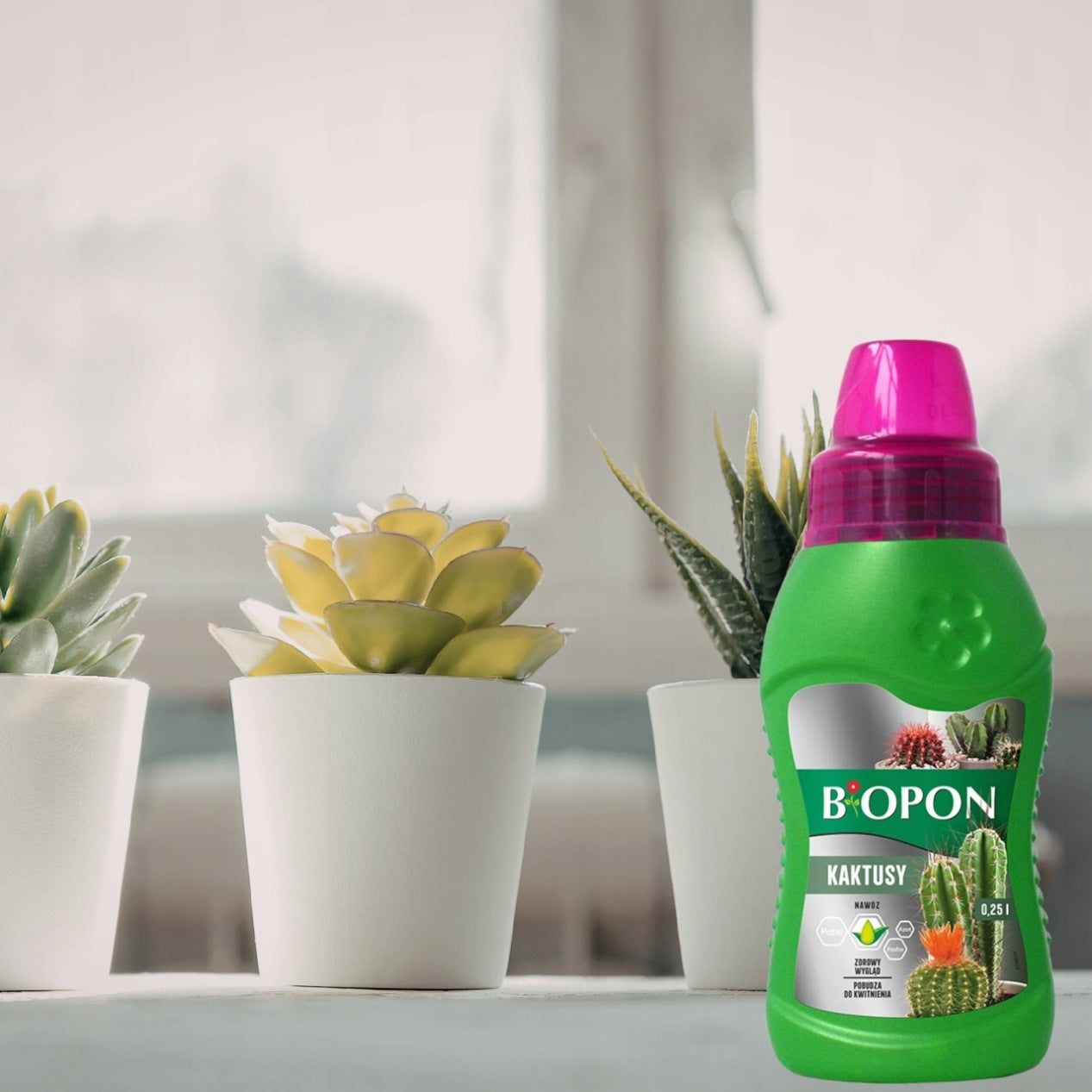 Biopon Liquid Cactus Fertilizer Healthy Appearance Stimulates Flowering 0,25L Manufacturer Bros