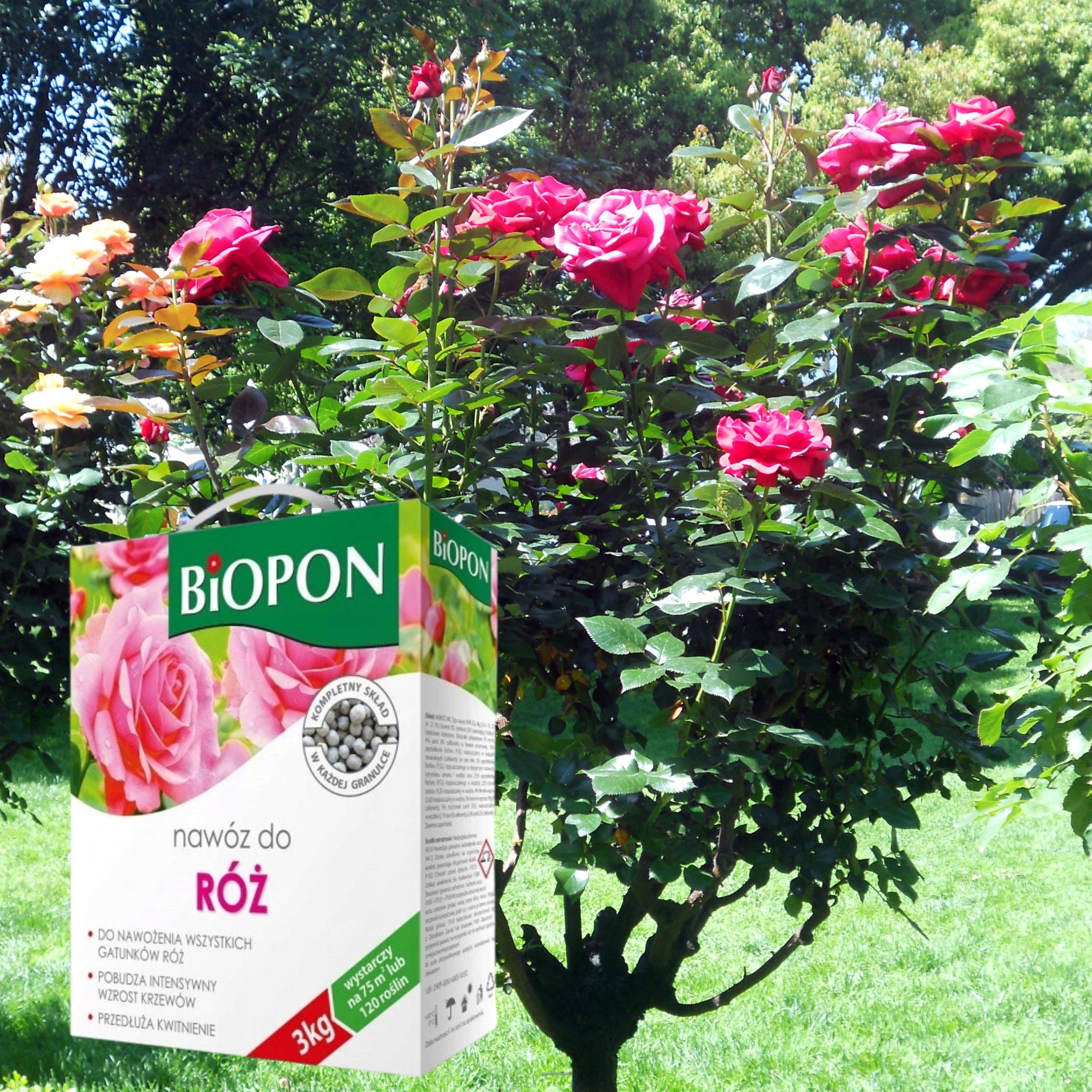 Biopon Rose Fertilizer Granulated 3kg Extends Multicomponent Flowering Manufacturer Bros
