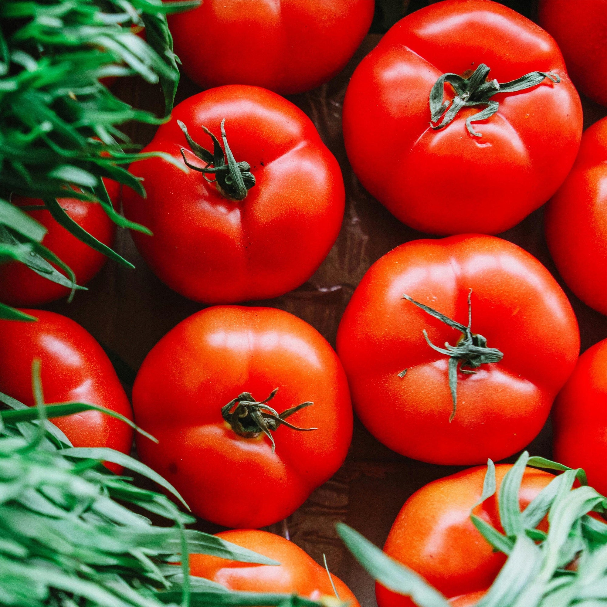 Biovita Organic fertilizer for vegetables and tomatoes BIO granules 3kg Manufacturer code Do Warzyw I Pomidorów BIO Granulat (Worek)