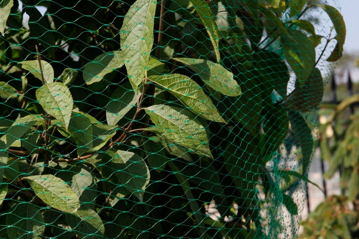 Bird Mesh Starlings 4x10m Against Birds 10g Strawberry Tree Protection Mesh size 4 m