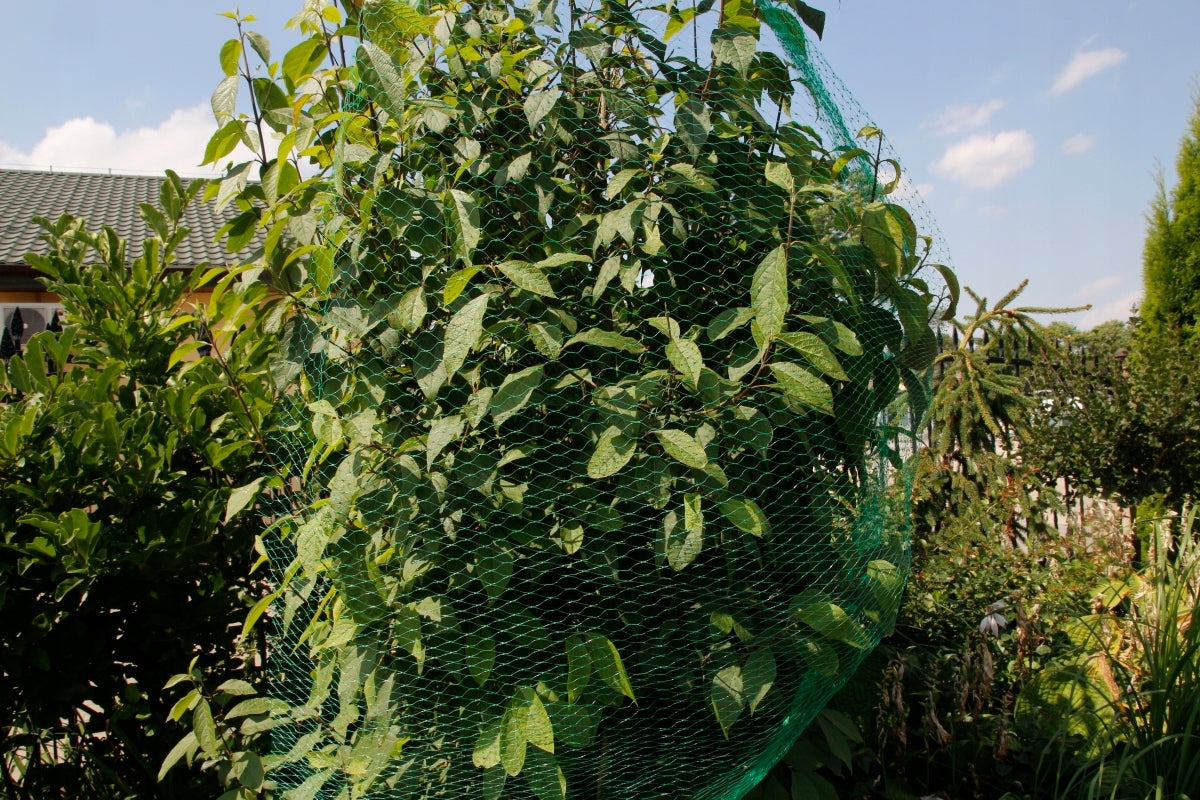 Bird Mesh Starlings 4x10m Against Birds 10g Strawberry Tree Protection Net length 10 m