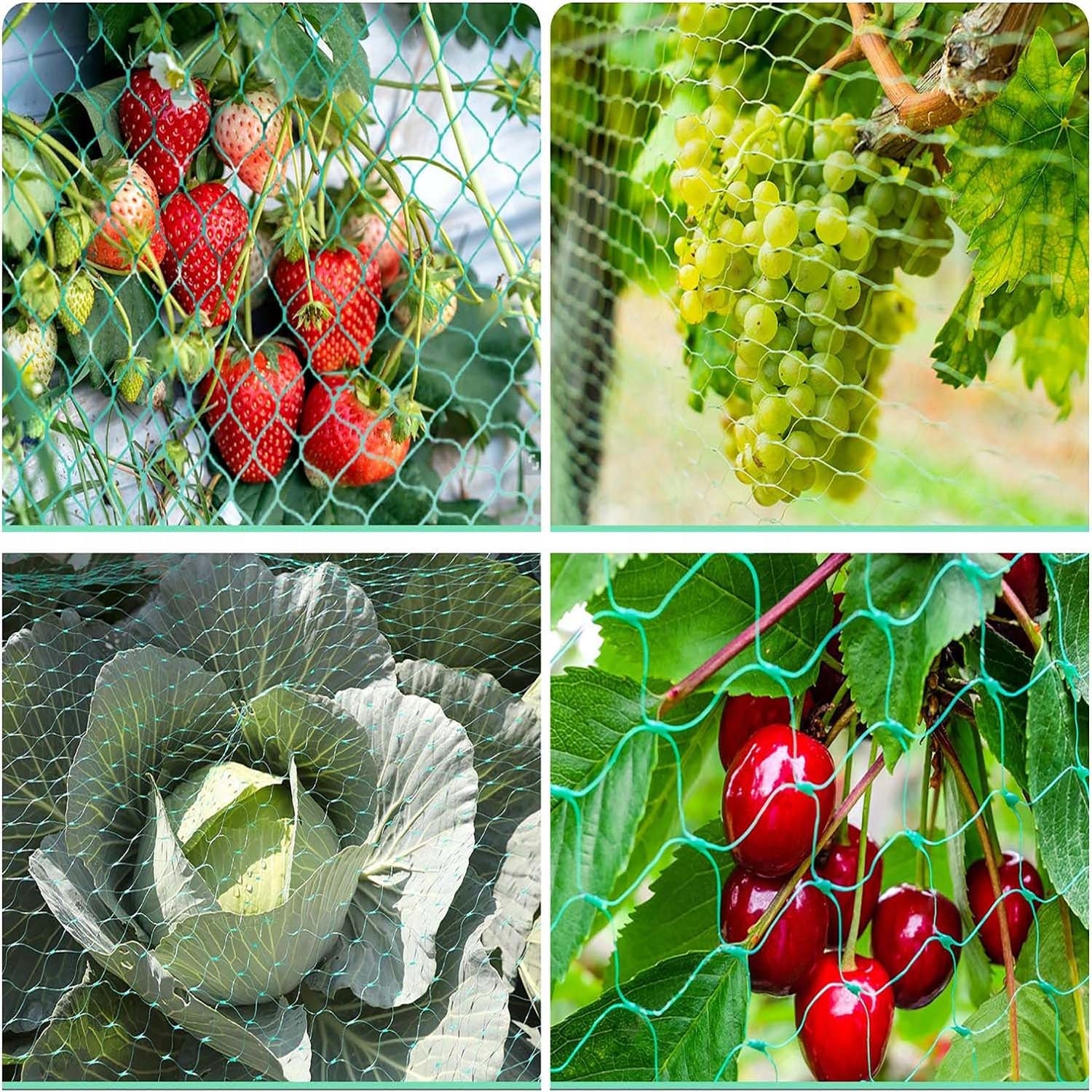 Bird Protective Mesh Pigeons Against Birds for Blueberry Trees for Garden Brand Vitolog