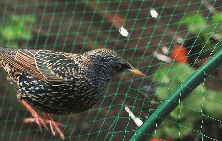 Bird Protective Mesh Strong Thick 6x10M 18G FOR TREES PROTECTIVE SHRUBS Brand GardenLine