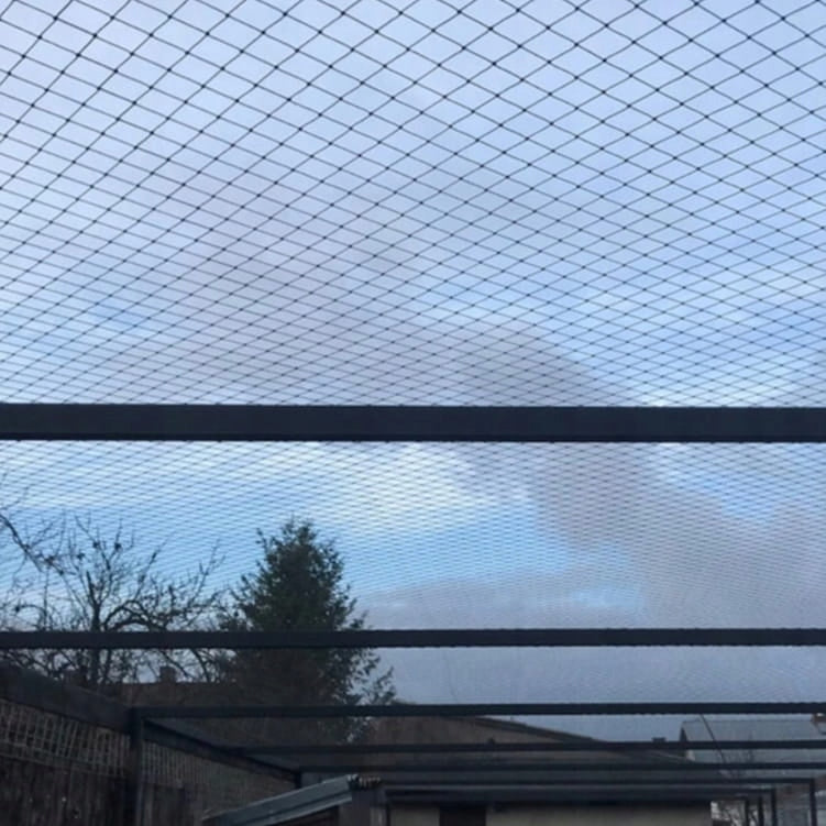 Bird Protective Mesh Strong Thick 6x10M 18G FOR TREES PROTECTIVE SHRUBS Kind mesh