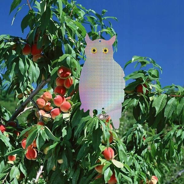 Bird repellent owl hologram hanging reflective pigeon starlings 41cm Use Against birds