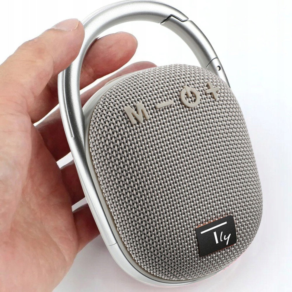 Bluetooth 5.3 Wireless 5W TWS USB 5W Speaker Brand Techly