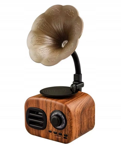 Bluetooth Turntable Portable Retro Speaker Wireless Unique Decoration