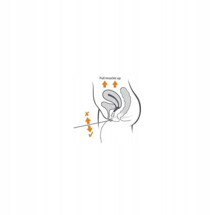 Body Clock SENSA Probe+ s indikátorem kontrakcí Medical device yes