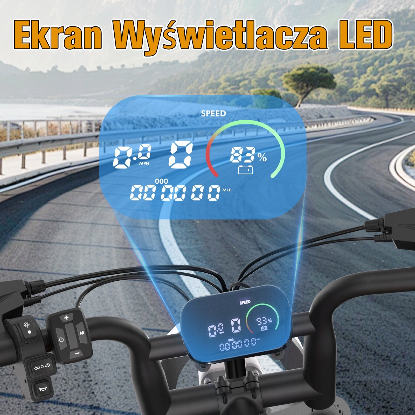 Bodywel Electric Bike 250W E bike E-mountain Bike 48V 13Ah Fatbike 25km/h Model L-M16