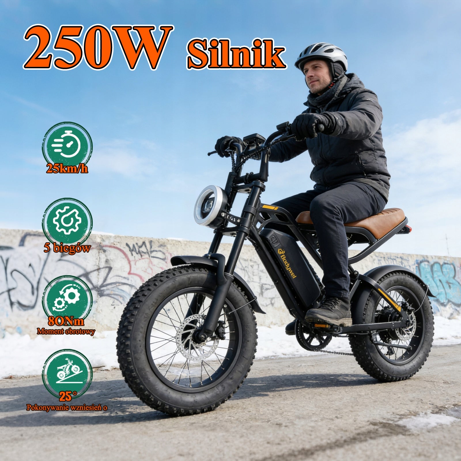Bodywel M16 Electric Bike 250W E bike 16'' E-mountain Bike 48V 13Ah Fatbike Foldability partially assembled, calibrated