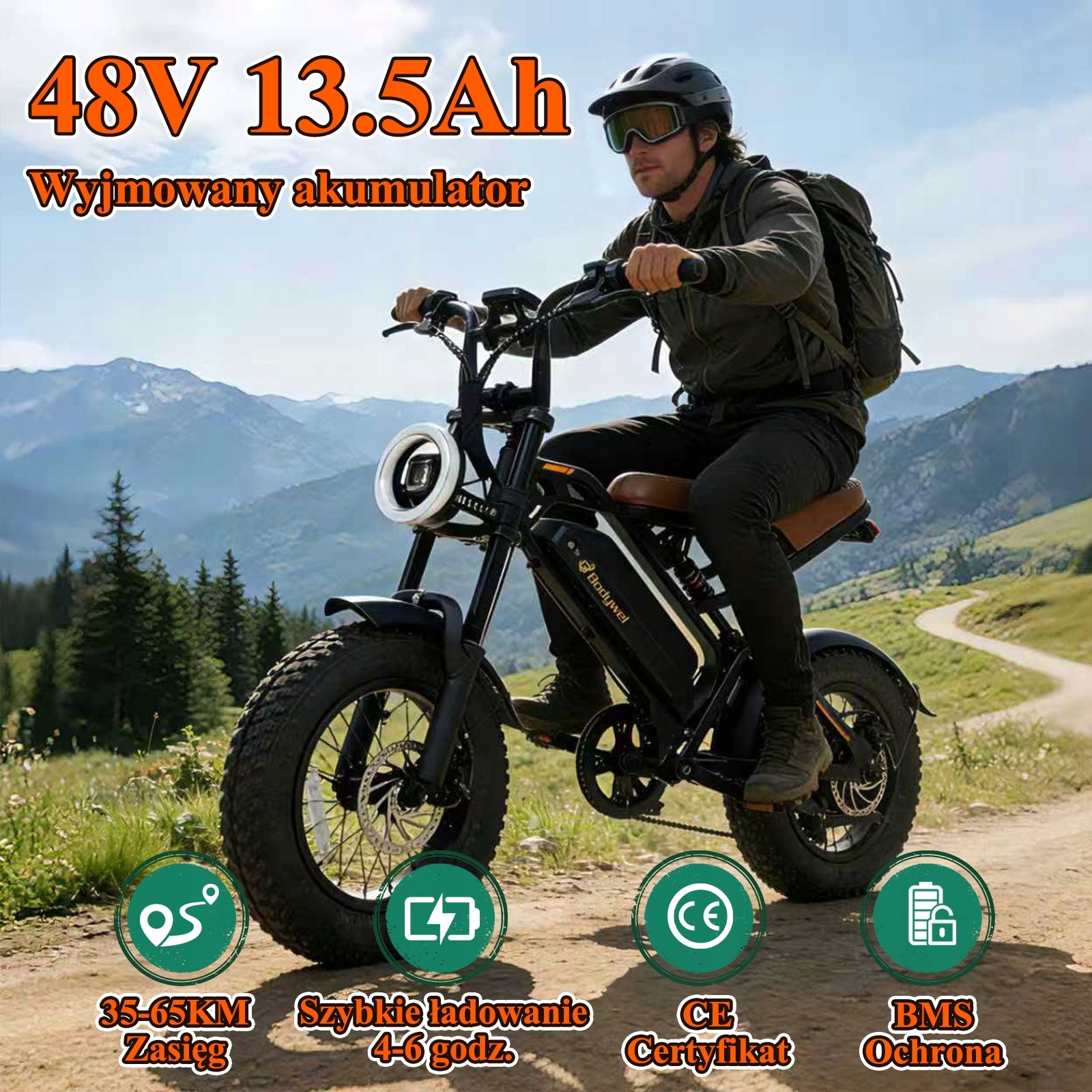 Bodywel M16 Electric Bike 250W E bike 16'' E-mountain Bike 48V 13Ah Fatbike Packaging status original