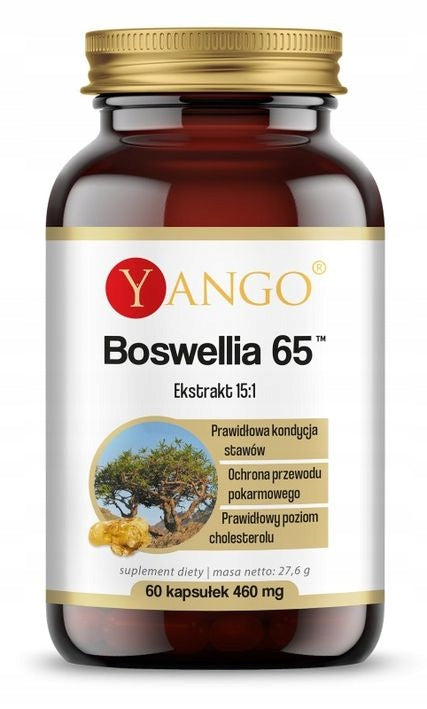 Boswellia 65 - 60 capsules, Boswellia