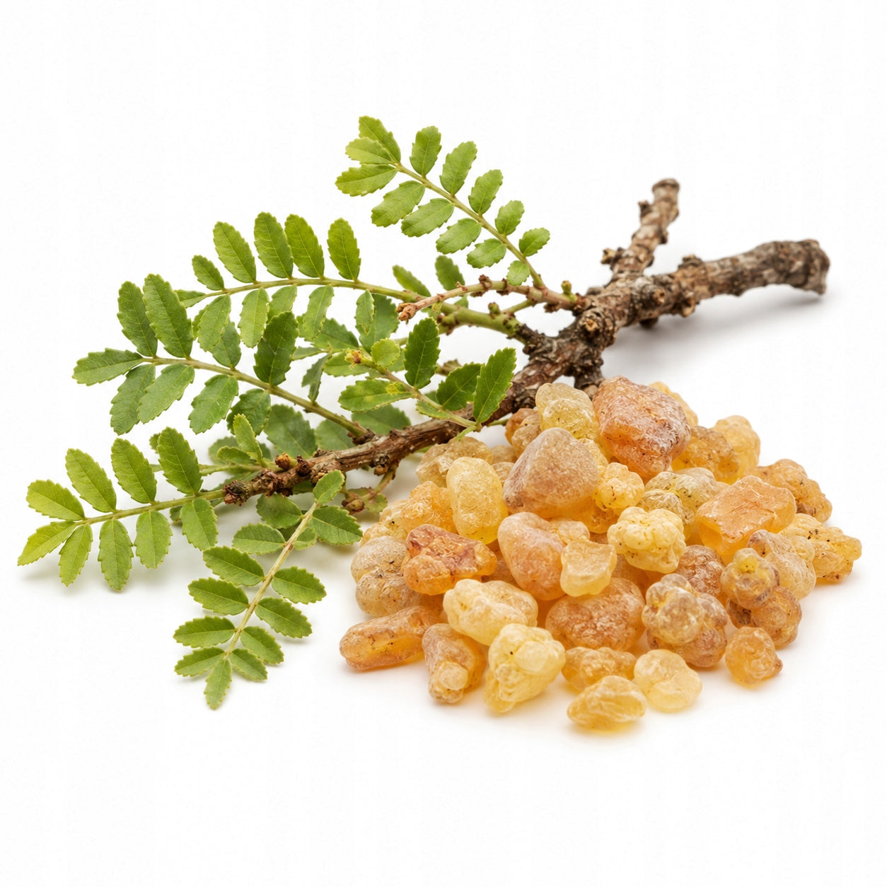 Boswellia serrata 500mg Vege 60 kap. Boswellia Indian - swelling, joints Packaging status original