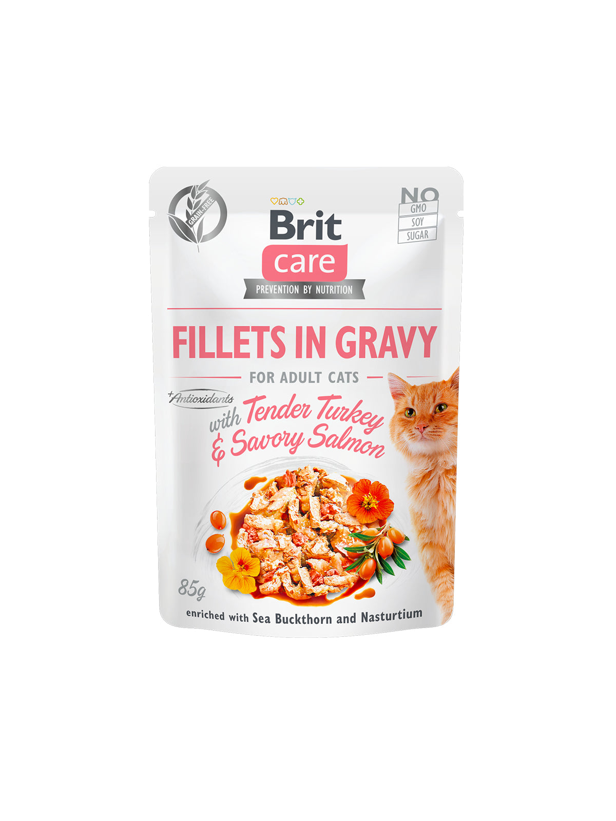 Brit wet food turkey 85g Brand Brit