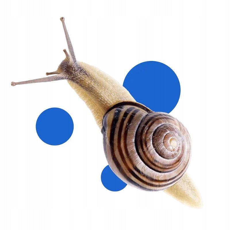 Bros for SNAILS Preparation SNACOL 5GB Granules 1KG Efficient 2500 m2 Purpose against pests