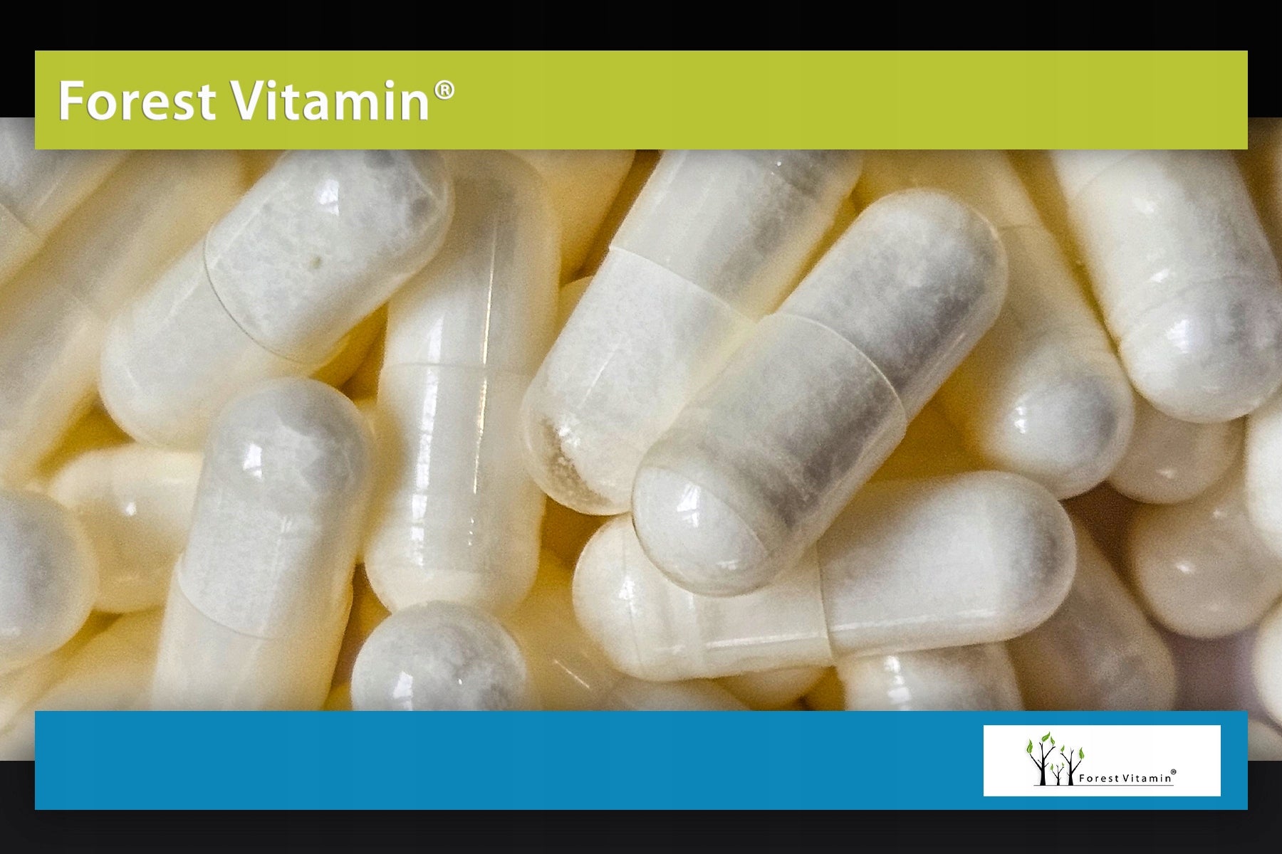 CALCIUM CITRATE 500mg CALCIUM FOR STRONG BONES AND TEETH LIME Number of pieces 100 pcs