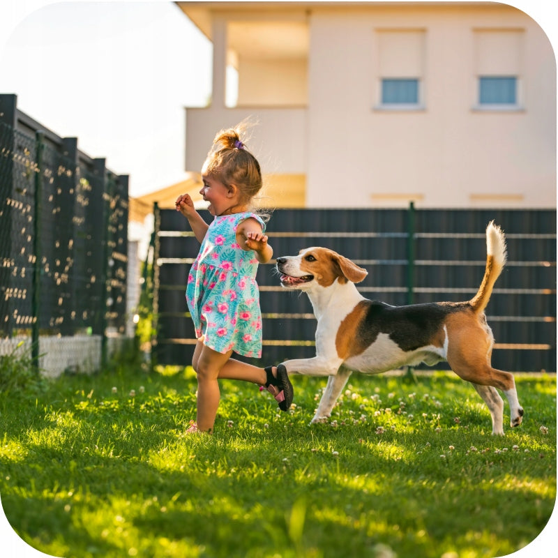 CALCIUM FERTILIZER GRANULAR CHALK 10KG DEACIDIFIES SOIL LIME FOR LAWN Form granules