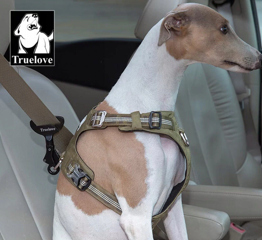 CAR BELT HOLDER SAFE, STURDY BELT Truelove STEEL Product width 7 cm