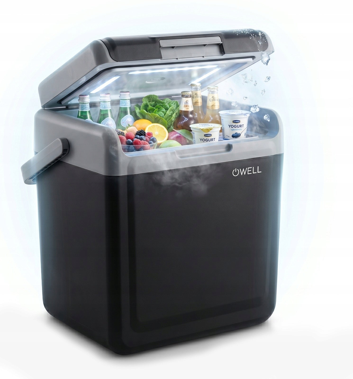 CAR TOURIST REFRIGERATOR 12V 230V PORTABLE 22L COOL HEATING FUNCTION Packaging status original