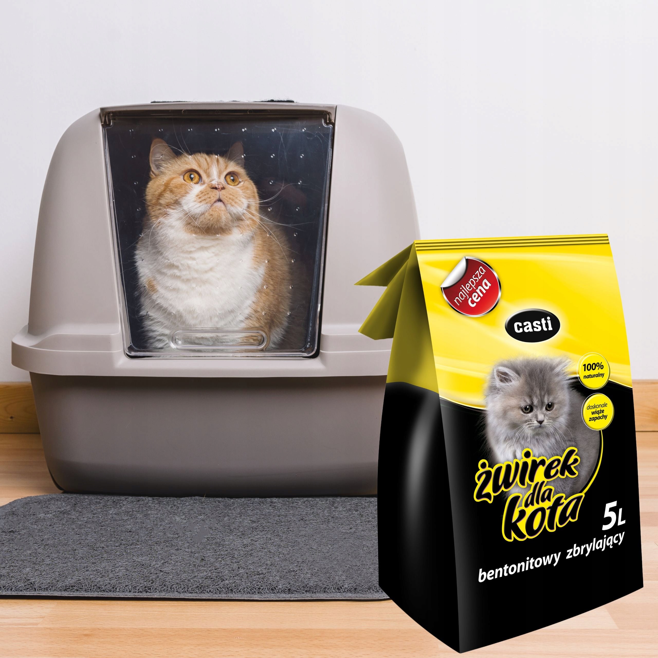 CASTI CAT LITTER BENTONITE CLUMPING UNSCENTED FOR LITTER BOX 5 L Product weight 5 kg