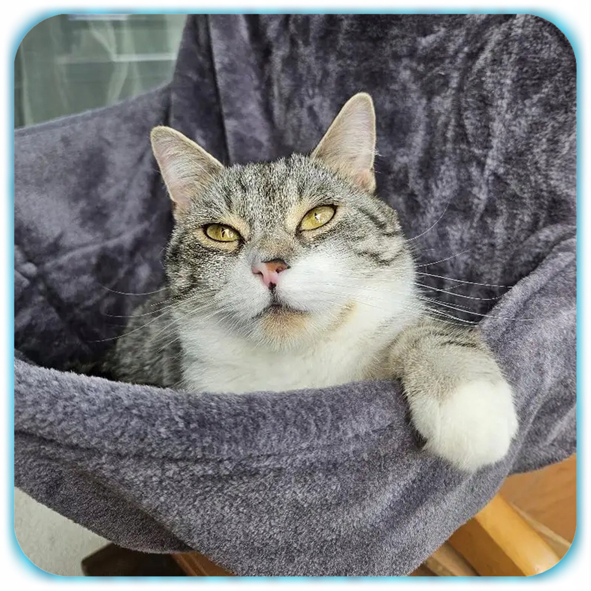 CAT BED HANGING RADIATOR HEATER HAMMOCK PLUSH BED 47x40 Color gray