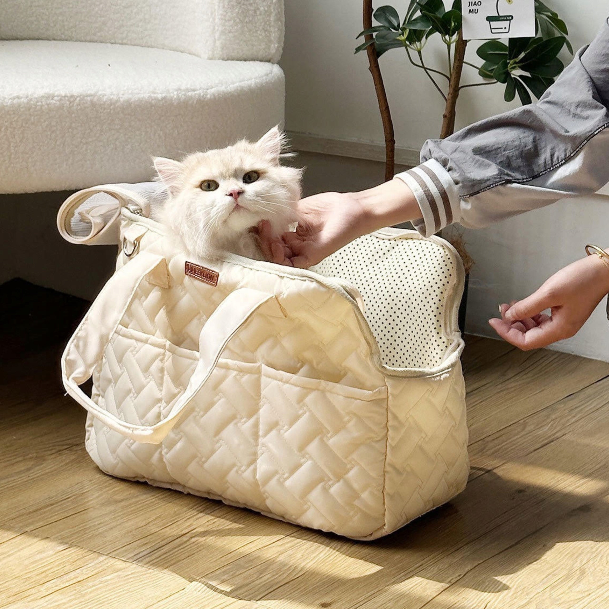 CAT CARRIER SHOULDER BAG FOR ANIMALS VENTILATION SIEMIEC Brand SIEMIEC