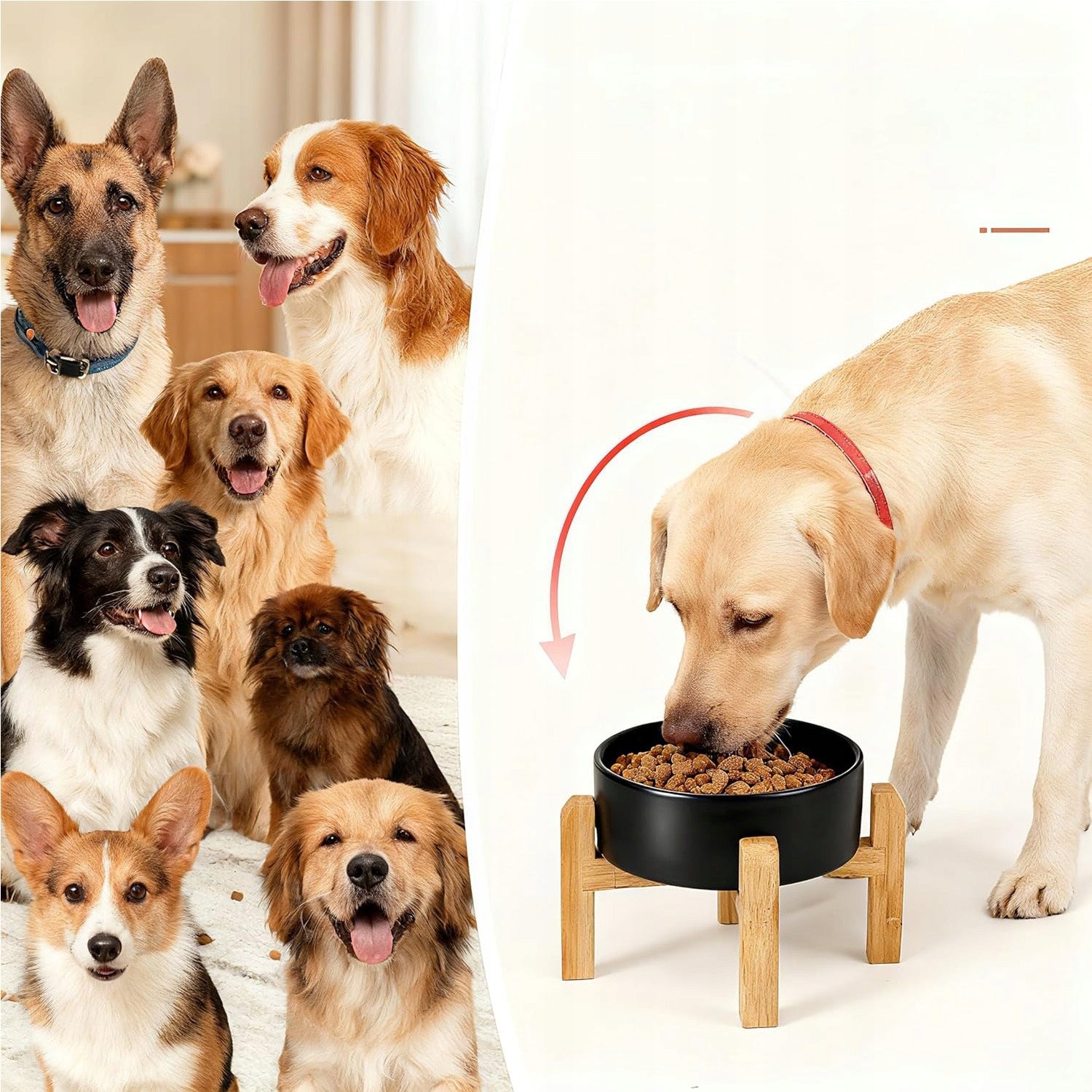 CAT DOG BOWL CERAMIC ON BOWL STAND CERAMIC TILT ANGLE15° Brand no brand