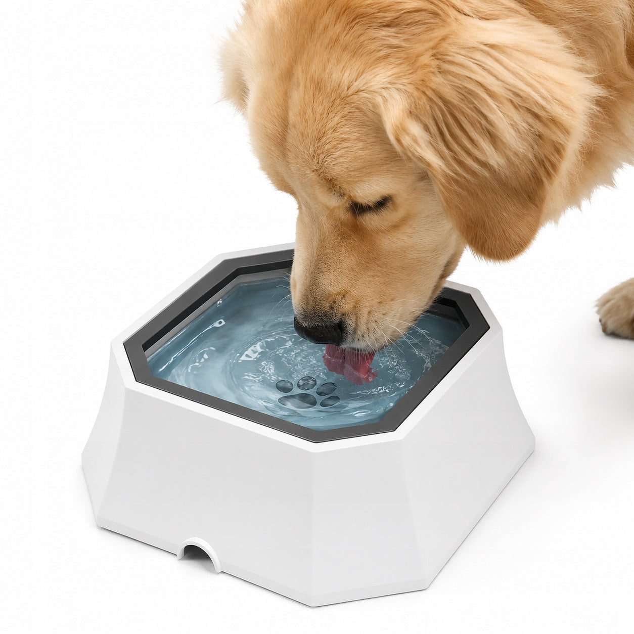 CAT DOG BOWL Floating Non-Spill Slowing Drinking 1.5 l Large Manufacturer code 5906477683355