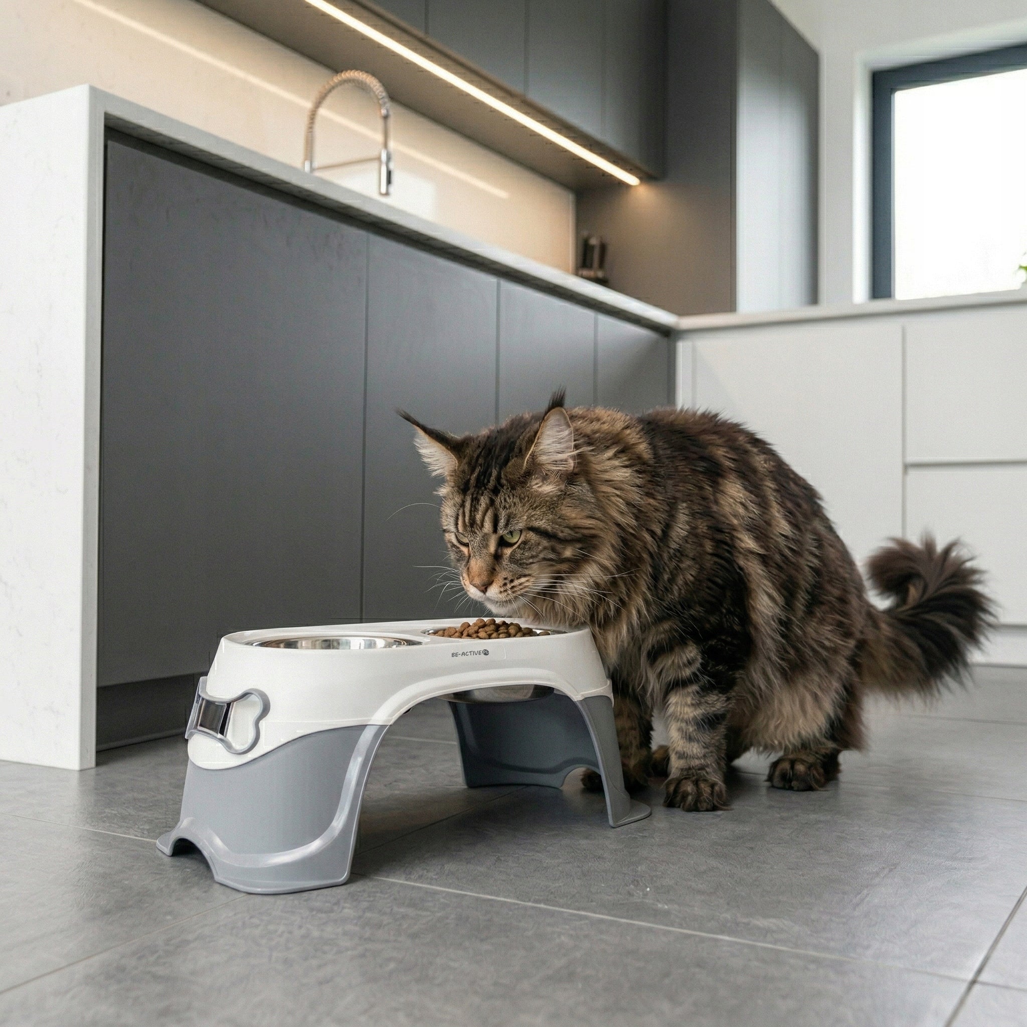 CAT DOG BOWL WATER DOUBLE BOWLS ON STAND NON-SLIP METAL Material metal