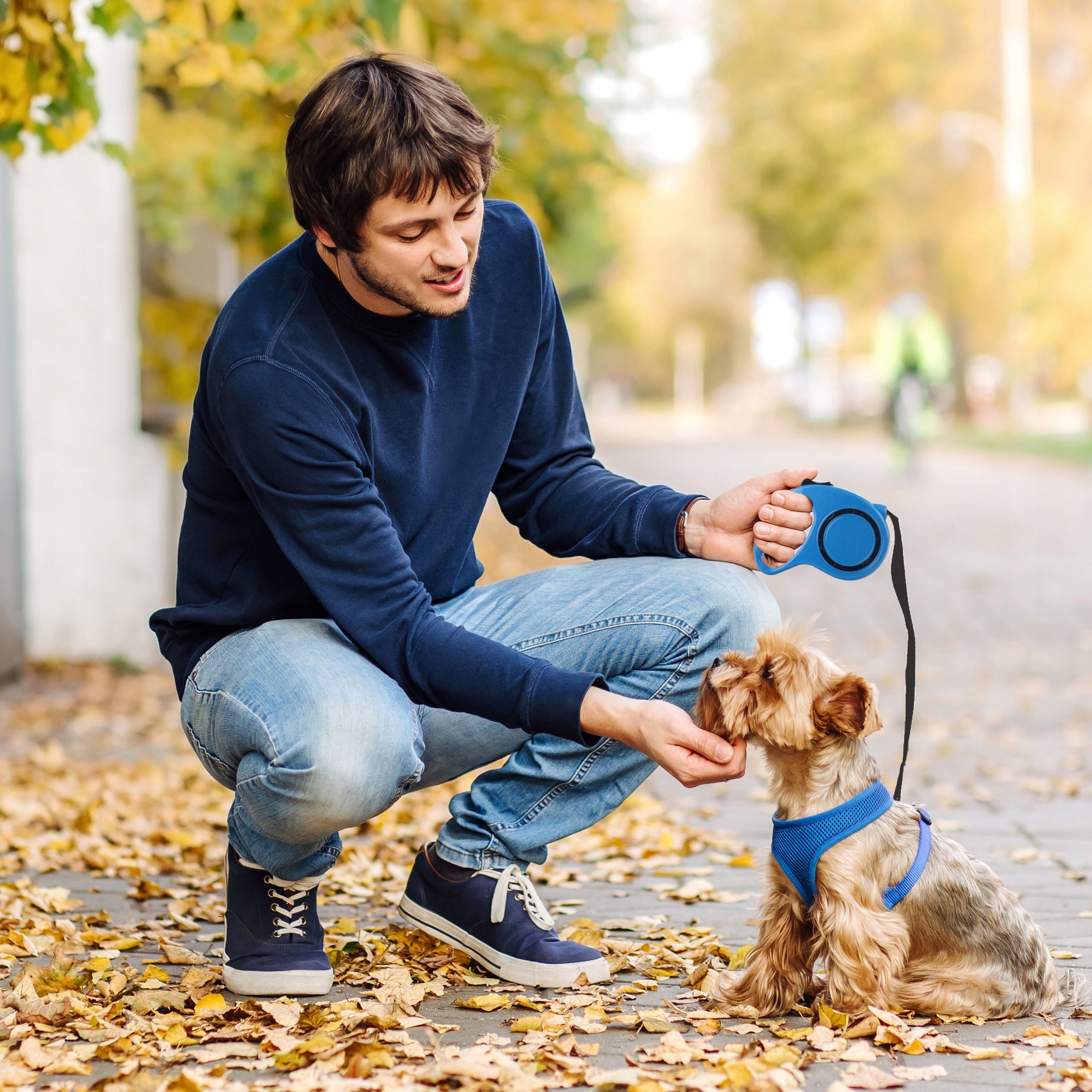 CAT DOG LEASH AUTOMATIC ROLL-UP TAPE WITH LOCK 5M TO 15KG FLEXI Color blue
