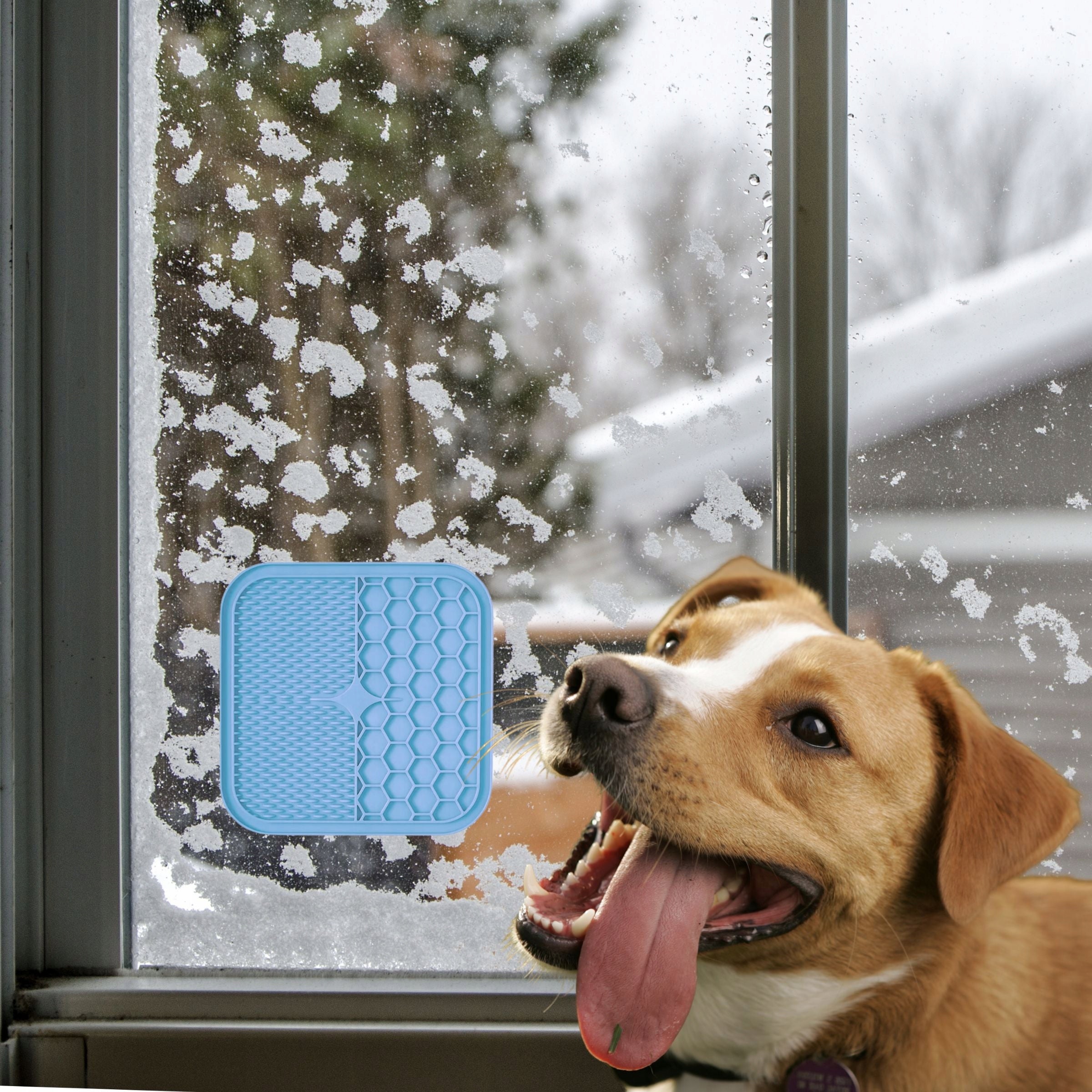 CAT DOG LICKING TRAY MAT SLOWING DOWN FOOD WITH SUCTION CUPS Trade name INNY