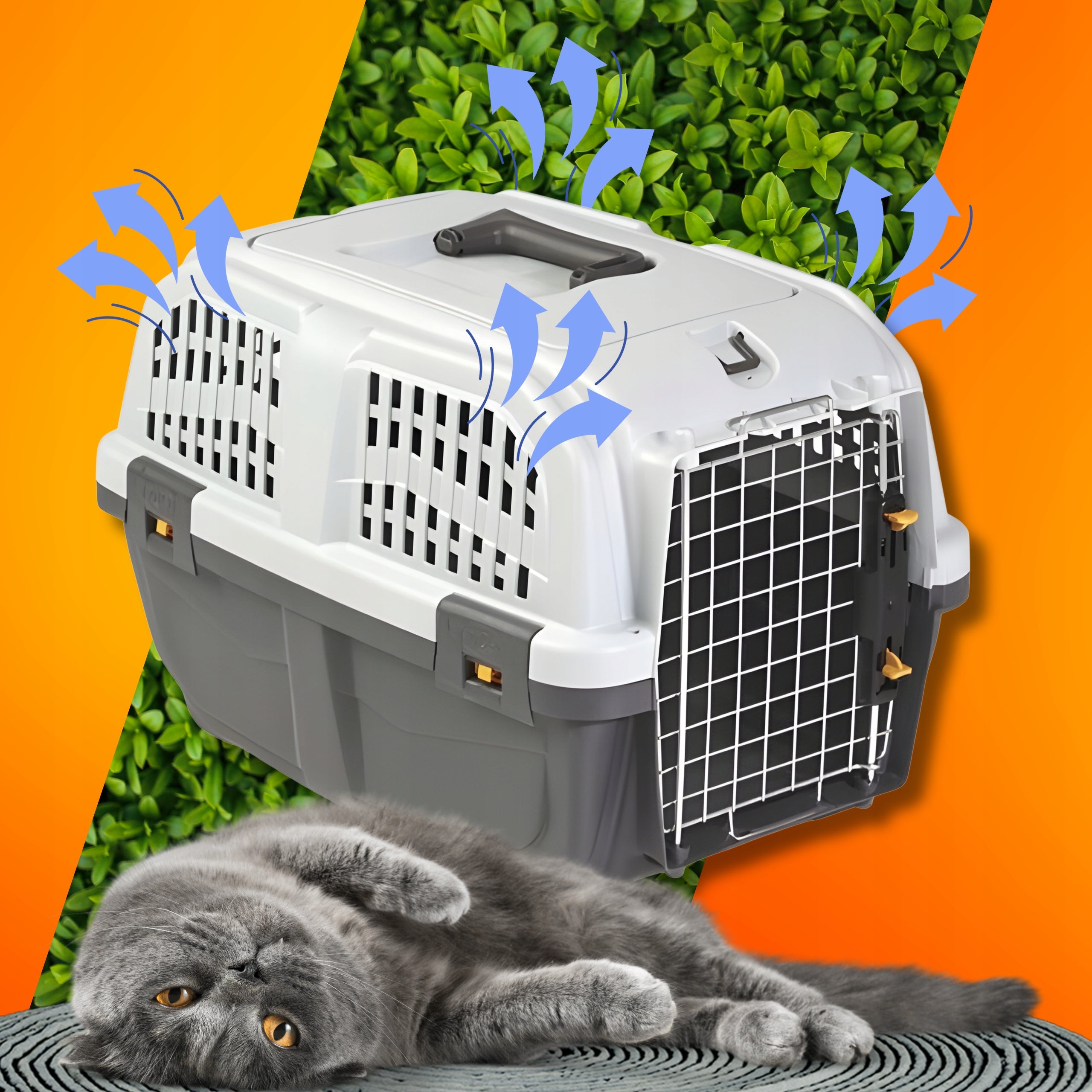 CAT DOG TRANSPORTER CAR AIRPLANE STRONG METAL DOOR CERTIFICATE Manufacturer code Transporter dla kota