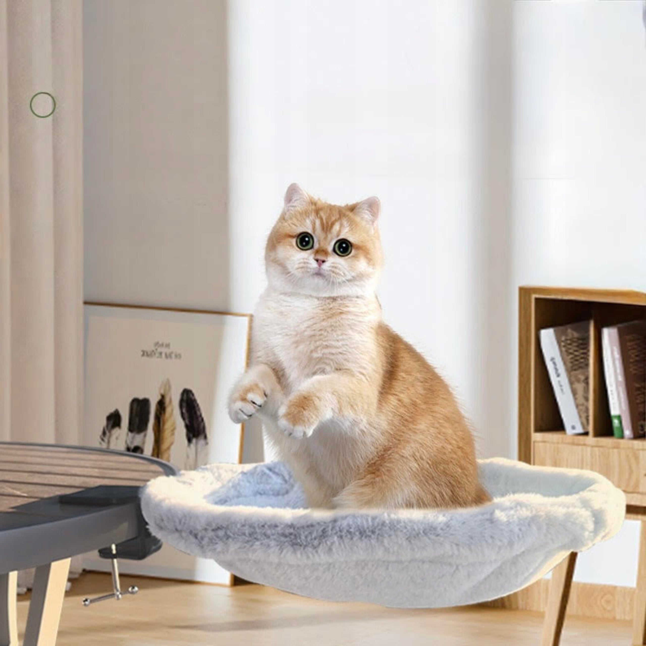 CAT HAMMOCK BED LARGE WHITE BASKET FOR ATTACHING TO THE DESK SIEMIEC Kind hammock