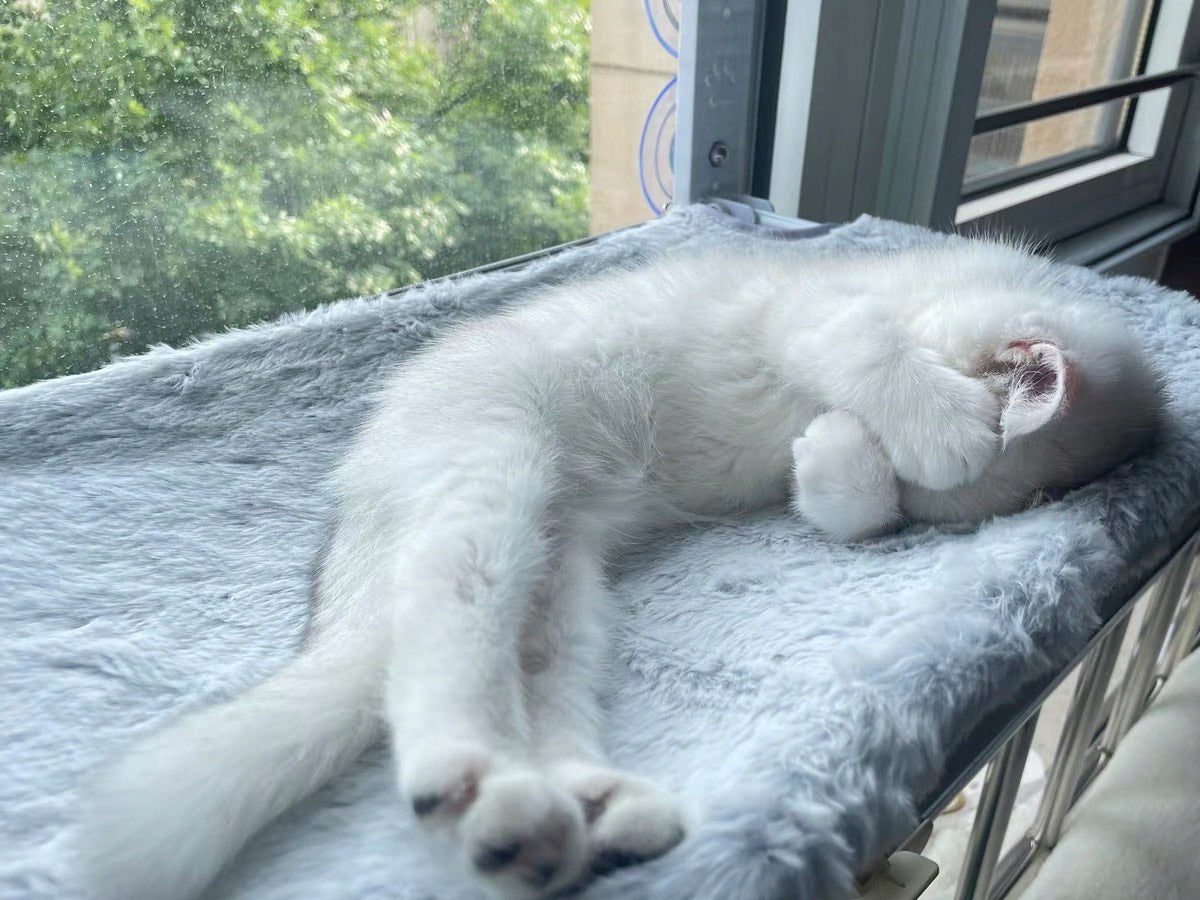 CAT HAMMOCK FOR THE WINDOW – BED 52×30, IDEAL FOR OBSERVING THE ENVIRONMENT! Brand SIEMIEC