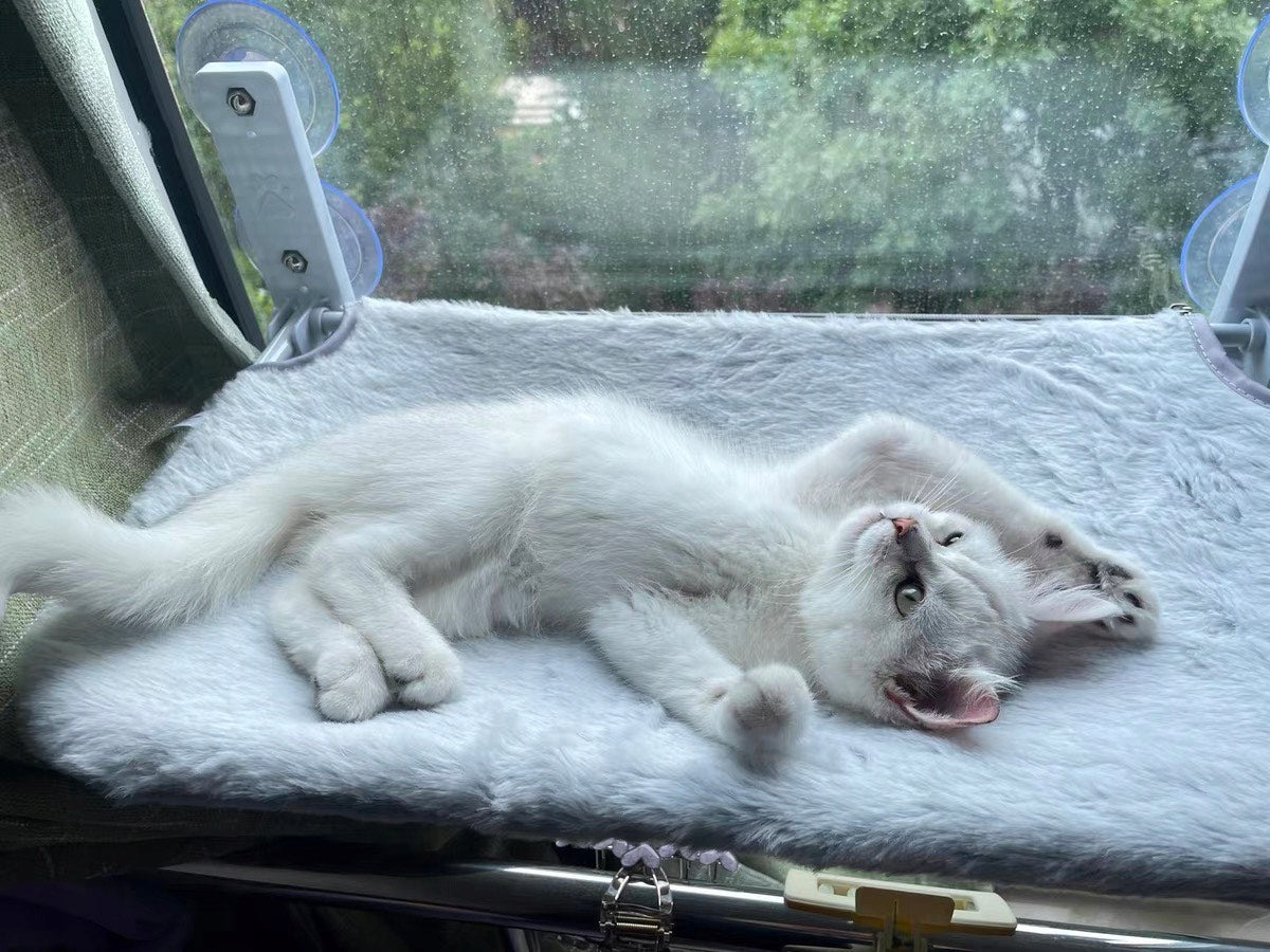 CAT HAMMOCK FOR THE WINDOW – BED 52×30, IDEAL FOR OBSERVING THE ENVIRONMENT! Packaging status original