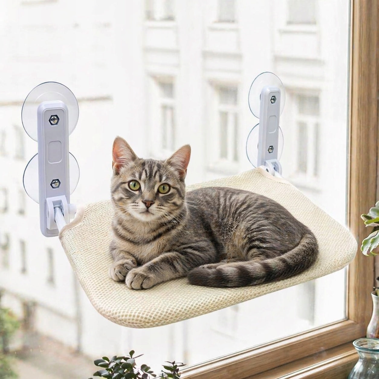 CAT HAMMOCK FOR WINDOW GLASS SUCTION CUP BED FOLDING MERINGUE Trade name ZW16A