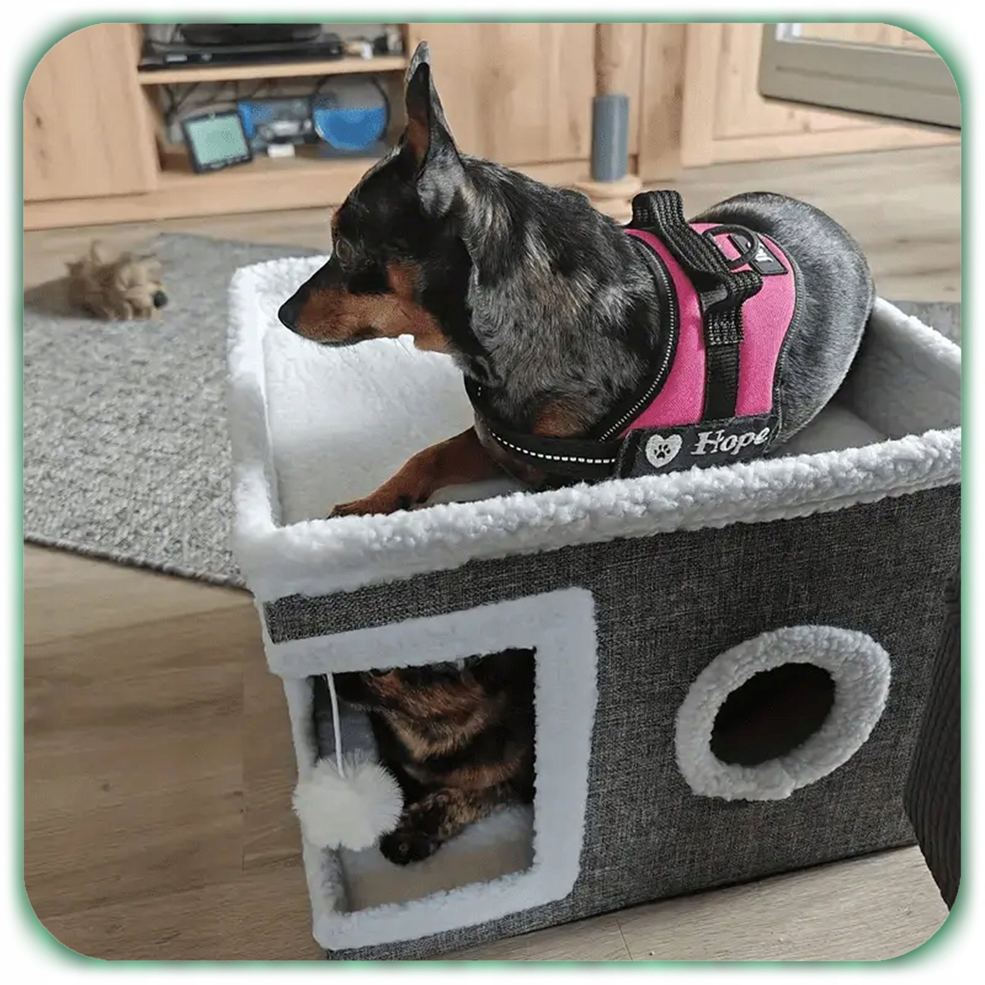 CAT HOUSE FOLDING BED BOOTH 42x42x31cm SCRATCHING POST GREY 2 LEVELS Product width 42 cm