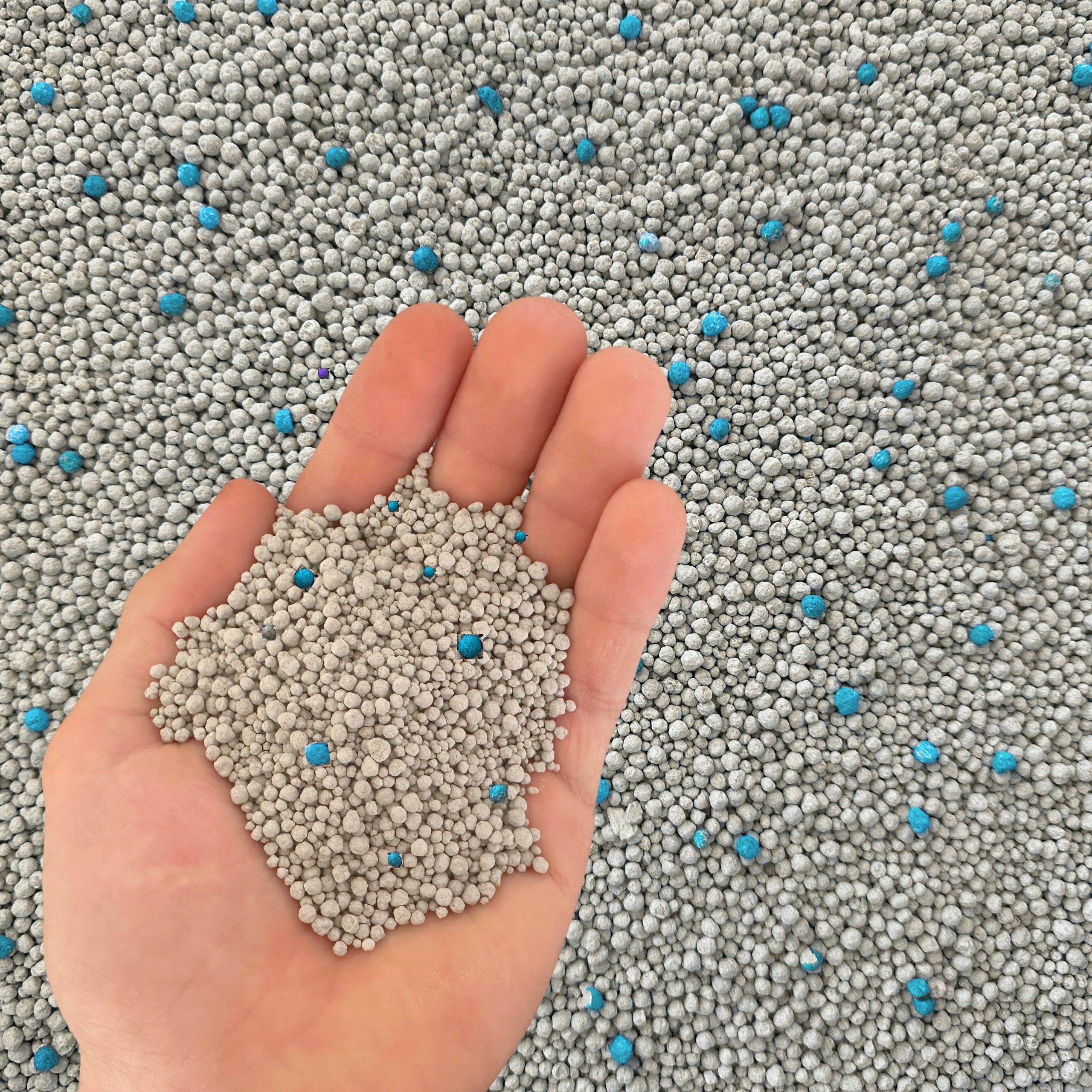 CAT LITTER BENTONITE SEA CLUMPING DUST-FREE ZOONEST 25L Manufacturer code ŻBM25