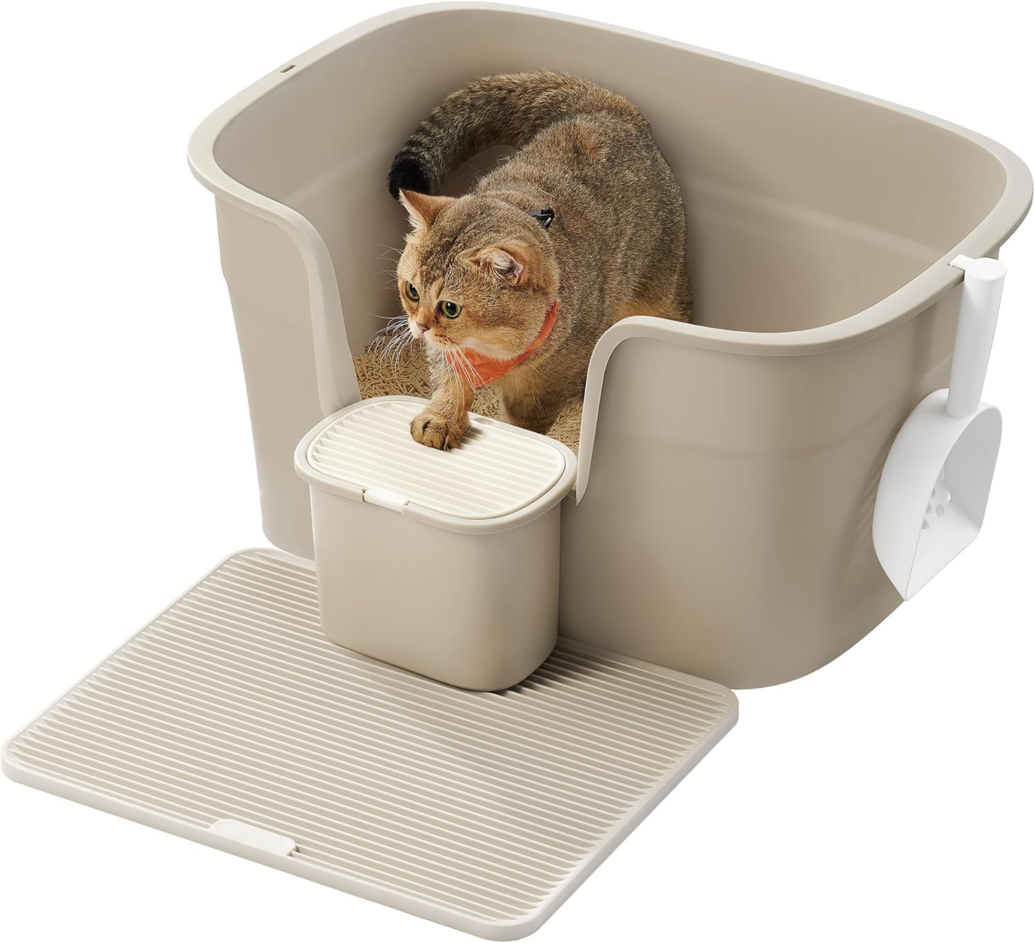 CAT LITTER BOX CONTAINER OPEN CATS FEANDREA