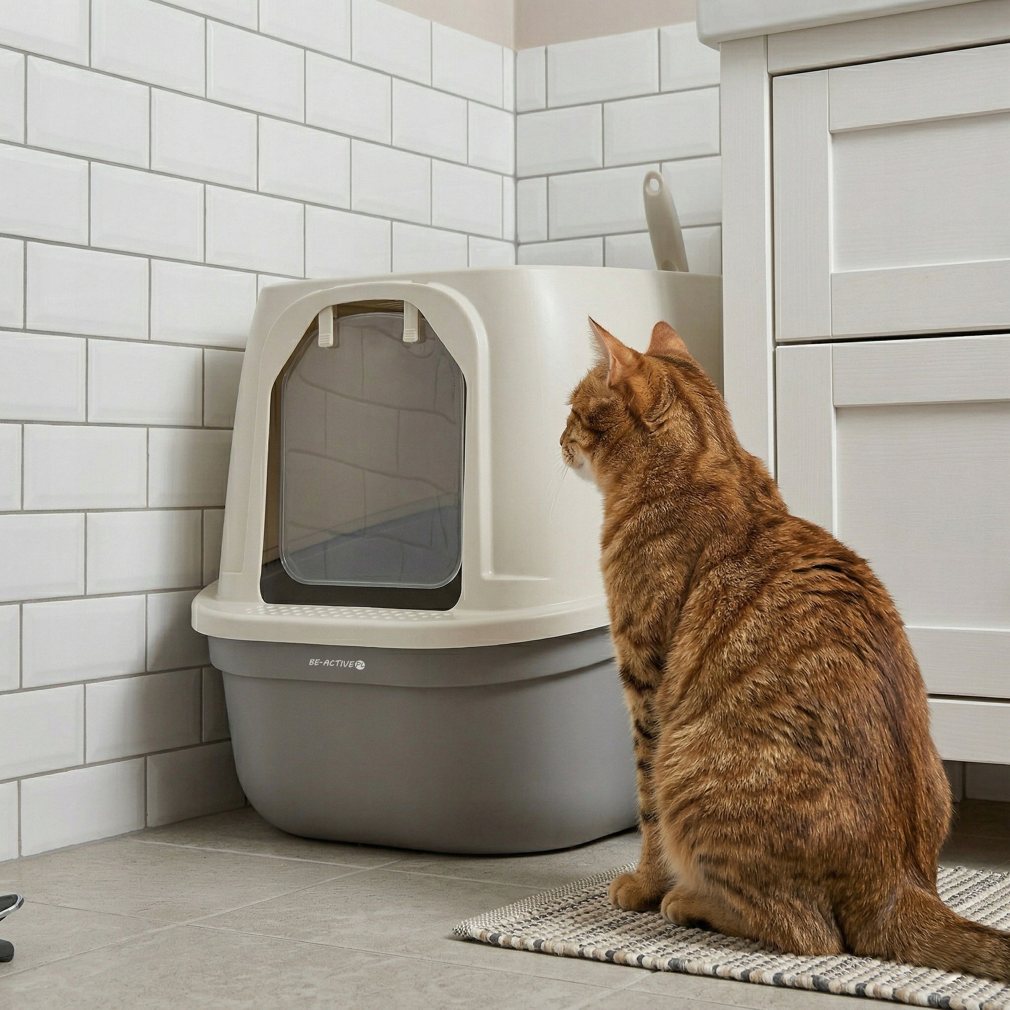 CAT LITTER BOX LARGE FOR LITTER CLOSED TOILET COVERED SPATULA Manufacturer code KUWETA DLA KOTA Z ŁOPATKĄ ZAMKNIĘTA KK-05