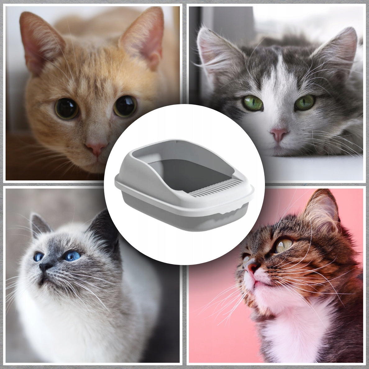 CAT LITTER BOX OPEN TO LITTER LARGE TOILET DURABLE STURDY + SPATULA Model Cat Litter Tray