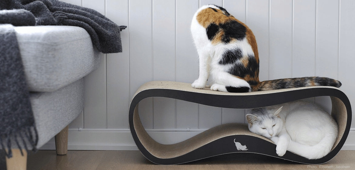 CAT SCRATCHER CARDBOARD LARGE BED 75x26x25 cm MYKOTTY Color black