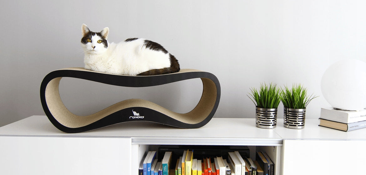 CAT SCRATCHER CARDBOARD LARGE BED 75x26x25 cm MYKOTTY For for kittens for cat families for large breed cats