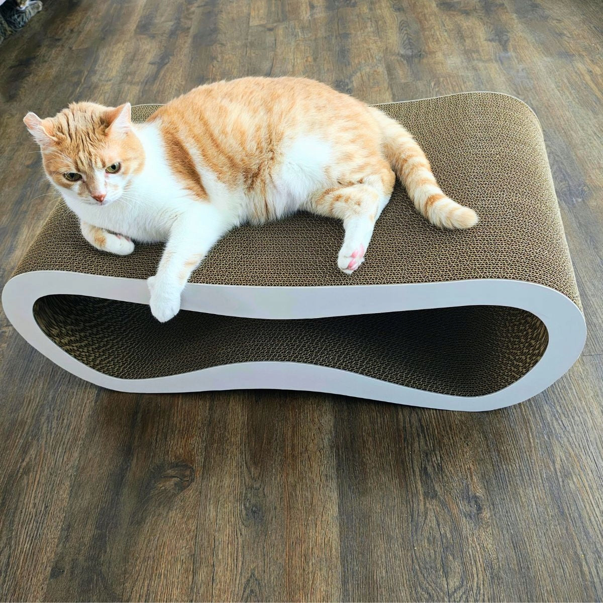 CAT SCRATCHER CARDBOARD LARGE LEON XXL BED 78x28x40 cm Mruu&Pruu Manufacturer code 5907274330497